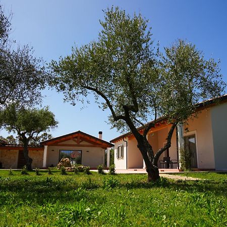 Agriturismo Casale Degli Ulivi Alghero Santa Maria la Palma Eksteriør billede